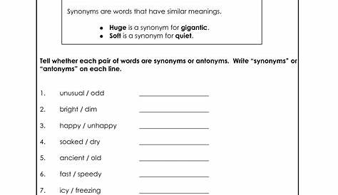 15 Synonym Antonym Worksheets / worksheeto.com