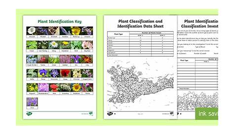 Plant Classification Investigation | Classifying Plants