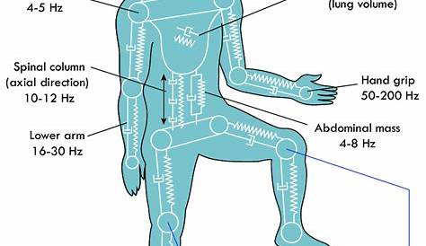 10: Resonance frequencies for different body segments, represented by a