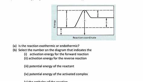 potential energy diagram physics