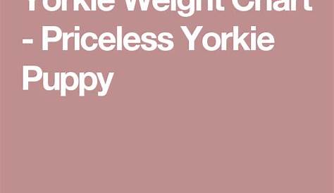 yorkie puppy weight chart