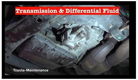 Toyota Camry automatic transmission & differential fluid change - YouTube