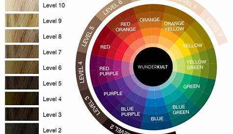 Hair Color Color Wheel Chart