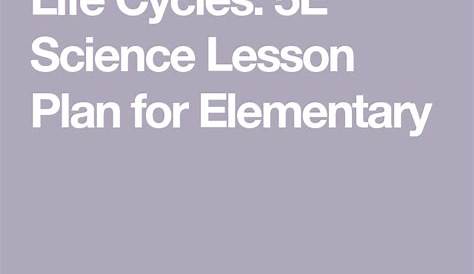 life cycles lesson plans