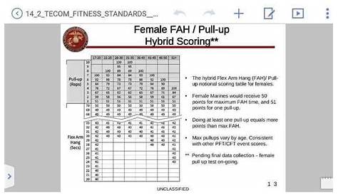 pft and cft performance worksheet