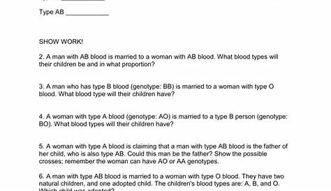33 Blood Typing Activity Worksheet - support worksheet