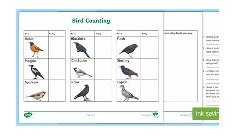 Bird Watching, Counting, and Graphing Activity