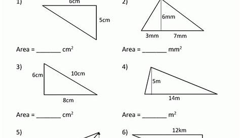 Finding The Area Of A Triangle Worksheets | 99Worksheets