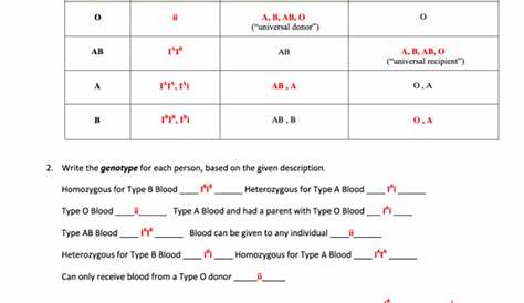 genetics blood types worksheet key