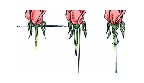 wiring flowers for bouquet