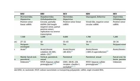 hepatitis b serology table