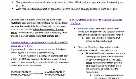 genetic mutations answer key