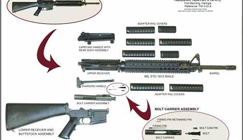 M16A2 Disassembly Layout Chart (600×450) | Weapon - M16 | Pinterest