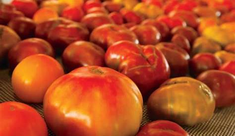 types of heirloom tomato