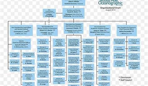 Non-profit Organisation Organizational Chart Organizational Structure