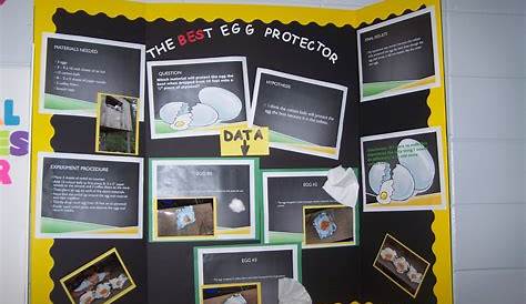 science projects for second graders