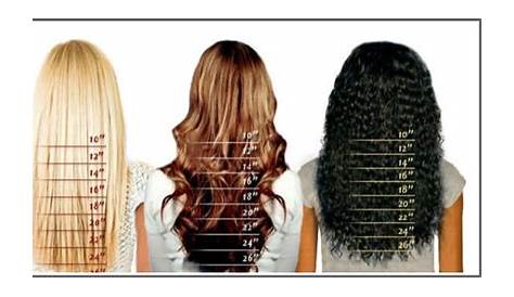 Hair Length Chart on Storenvy