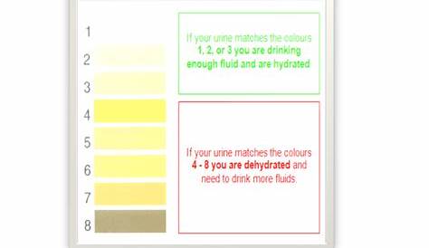 Urine Color Chart - download free documents for PDF, Word and Excel