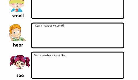 5 Senses Printable Worksheets | Made By Teachers