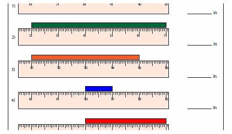 measuring length grade 2