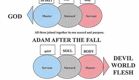 from adam to jesus chart