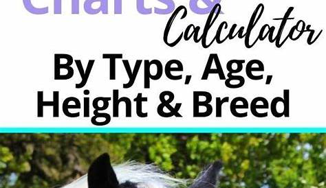 weight chart for horses