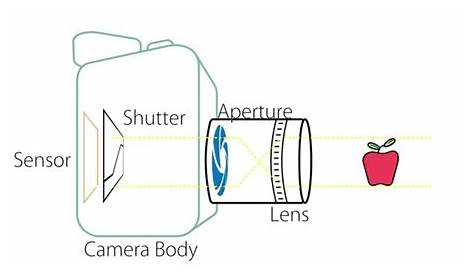 Camera Basics - Anatomy of a Camera - YouTube