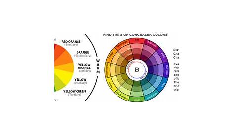 Color Wheel Makeup Artistry - Mugeek Vidalondon