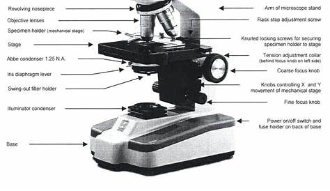 microscope labeling worksheet