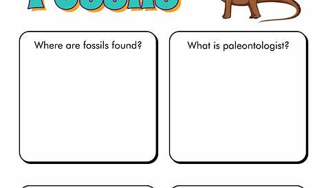 fossils worksheet 7th grade