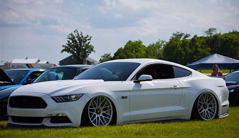 White Ford Mustang GT - BenLevy.com