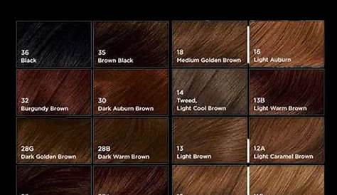 what color is my hair chart