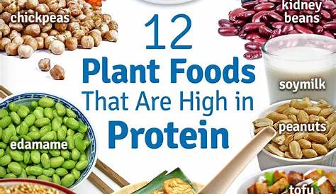 sources of vegan protein