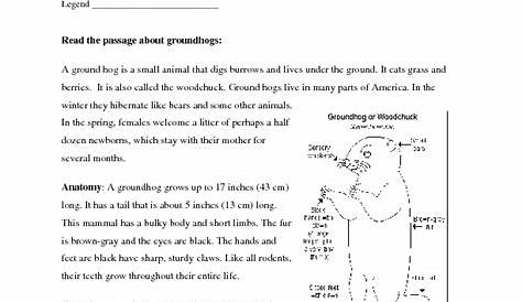 groundhog day comprehension worksheets