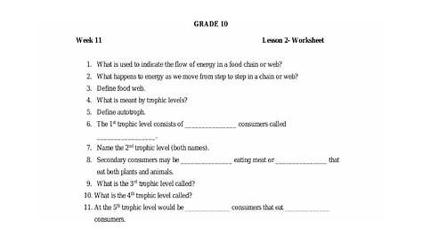 integrated science cycles worksheets