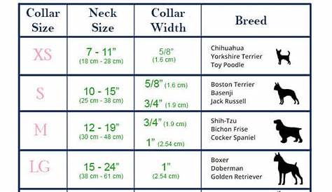 size chart for dog collars