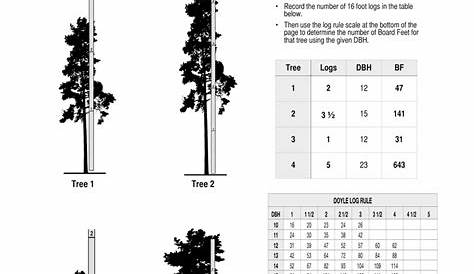 set the orientation of the worksheet to landscape
