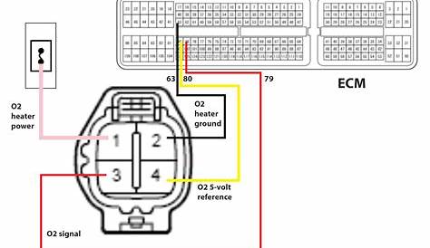 5 wire oxygen sensor wiring diagram