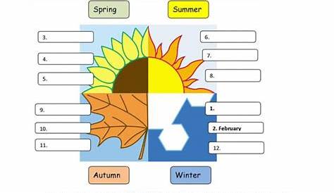 seasons worksheets for grade 1