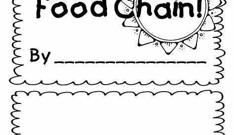 food chain for first grade
