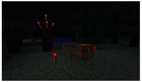 The Mystery of Disc 11 Minecraft Project