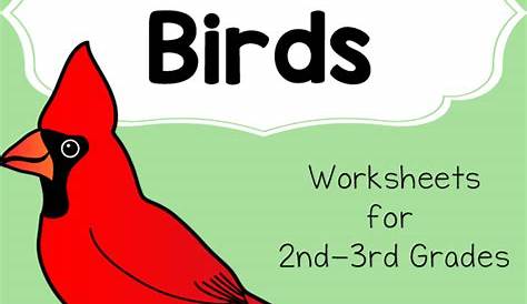 Birds Worksheet Packet for 1st-3rd Graders - Mamas Learning Corner