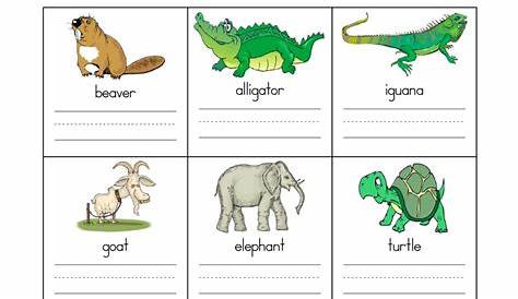 List Of Reptiles In Alphabetical Order - Photos Alphabet Collections