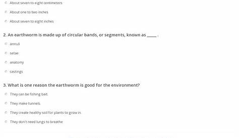 Earthworm Anatomy: Quiz & Worksheet for Kids | Study.com