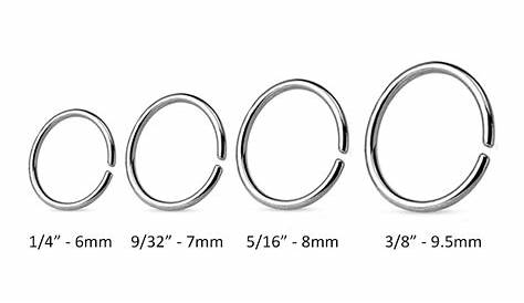 316L Surgical Steel Seamless Continuous Nose Ring Hoop 22G