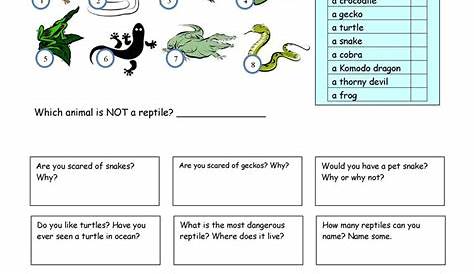 reptile vs amphibian worksheet