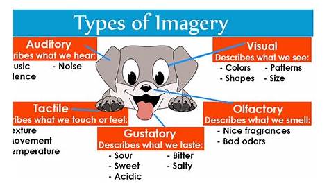 Imagery: Definition and Examples | LiteraryTerms.net