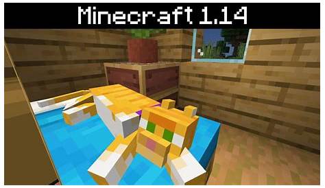 How To Breed Cats In Minecraft 114