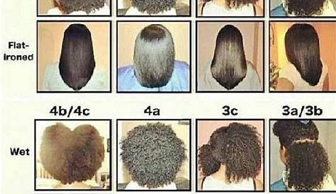 Black Hair Culture | Natural hair types, Natural hair type chart, Hair