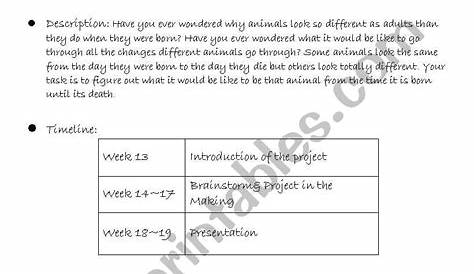 life cycle of animals worksheet pdf